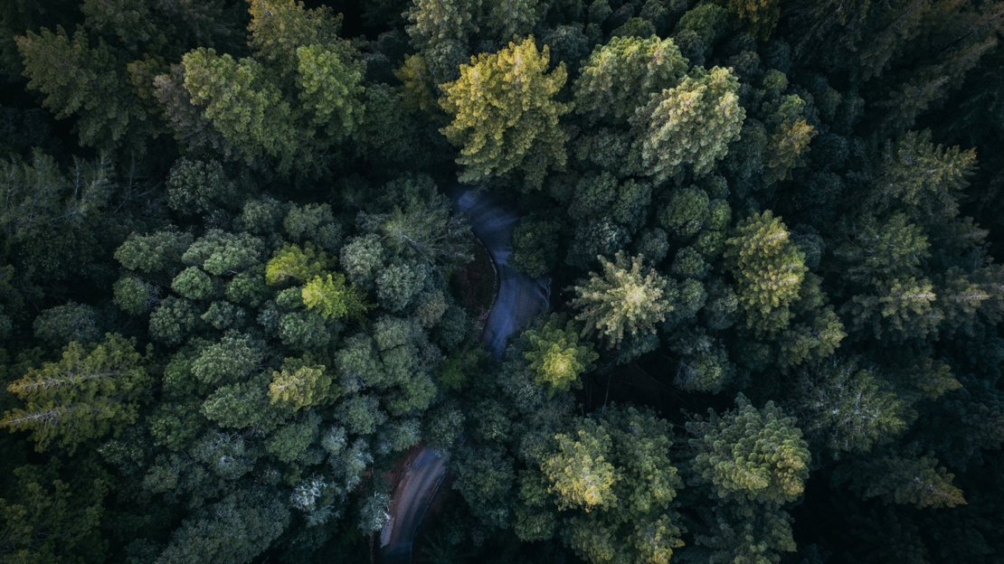 Verliezen bedrijven zich in het bos van de onbetaalde facturen?